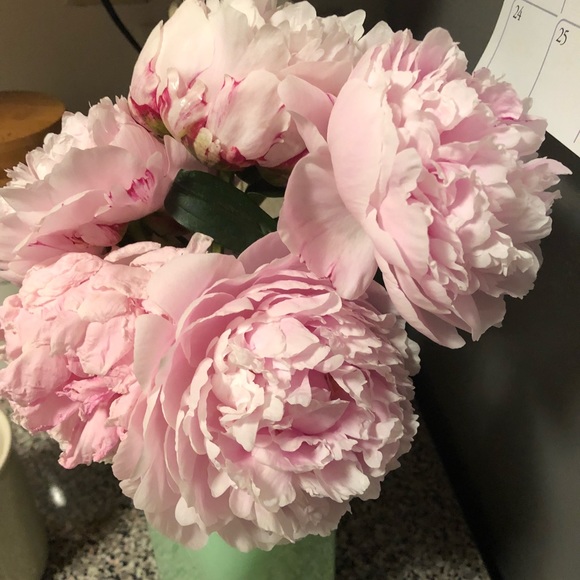 Meet your Posher, Jenna - Picture 1 of 1